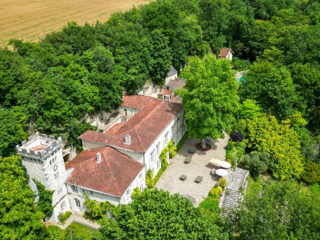 Château vente à Agen