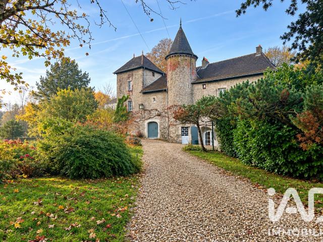 Château vente à Pagney