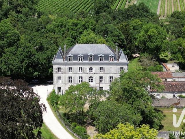 Château vente à Cognac, Segonzac