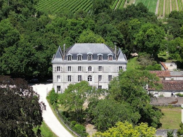 Château vente à Cognac, Segonzac
