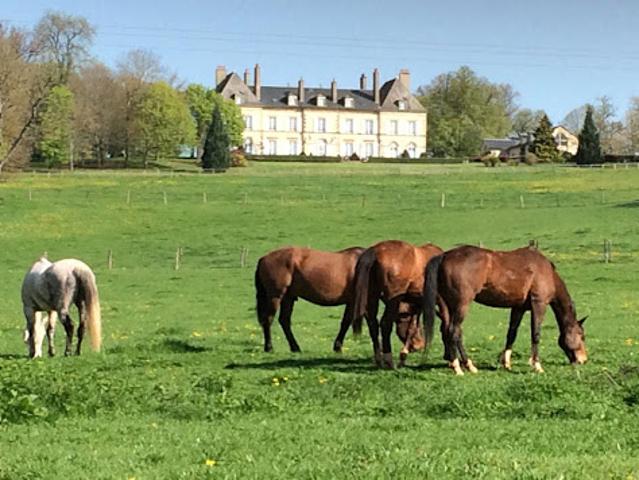 Château vente à Moulins