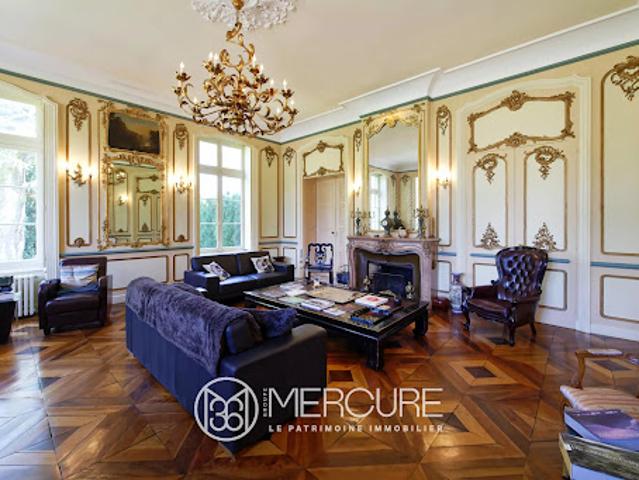 Château vente à Mâcon