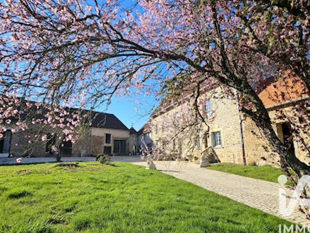 Château vente à Beaune, Viévy