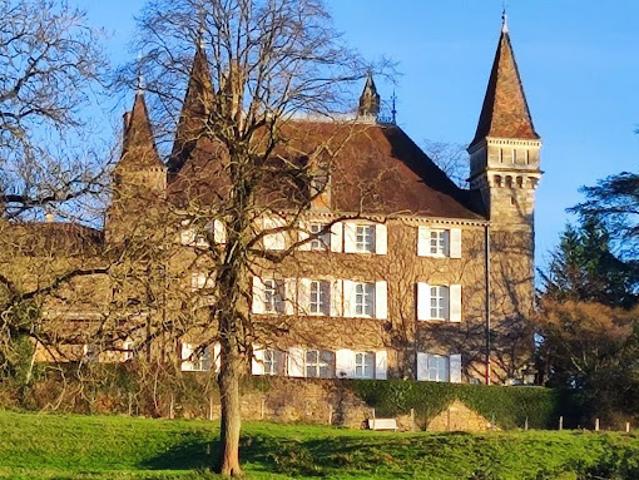 Château vente à Bourg-en-Bresse, Bourg-en-bresse