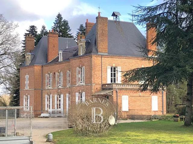Château vente à Romorantin-Lanthenay, Lamotte-beuvron