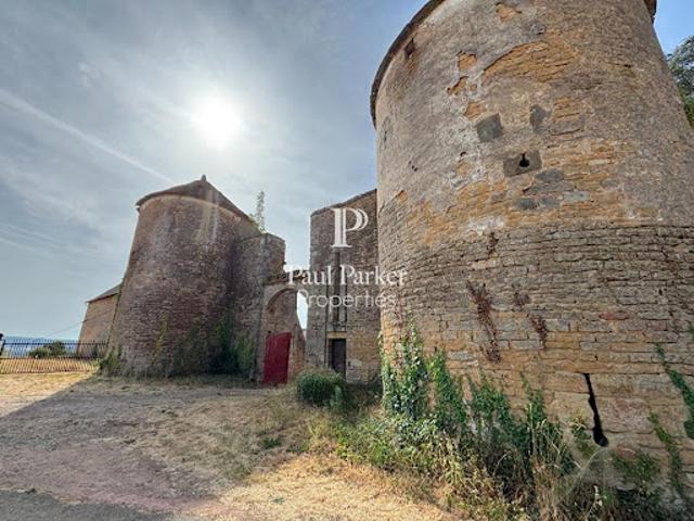 Château vente à Saint-André-le-Désert, Saône-et-Loire