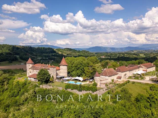 Château vente à La Tour-du-Pin, Vignieu