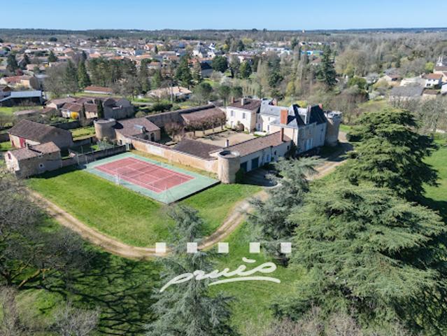 Château vente à Poitiers, Roches-prémarie-andillé