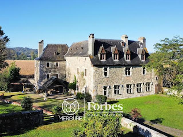 Château vente à Orthez