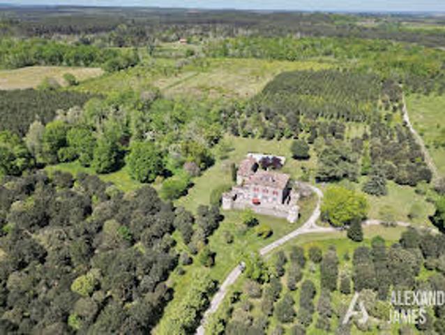 Château vente à Casteljaloux