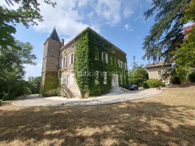 Château vente à Agen