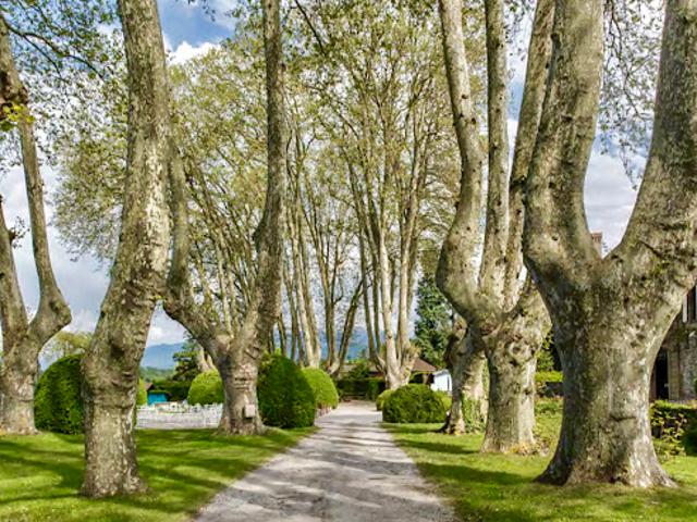 Château vente à Thonon-les-Bains, Sciez