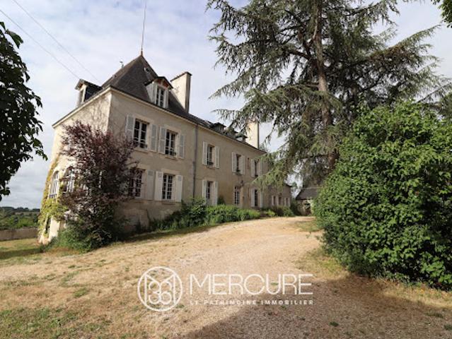 Château vente à Le Blanc