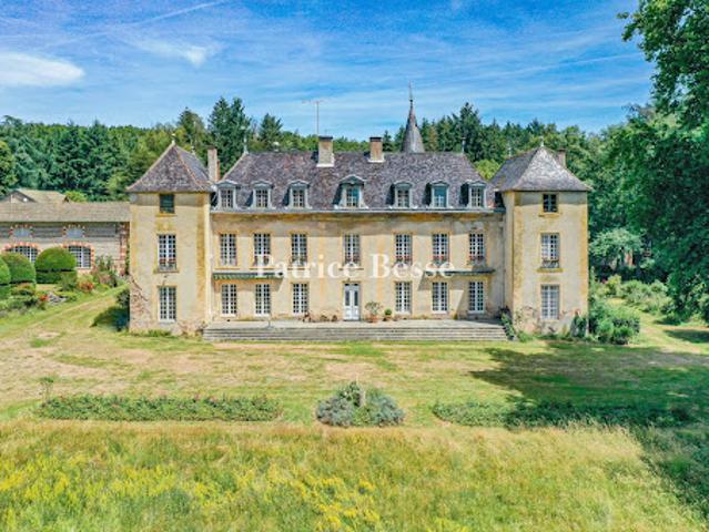 Château vente à Charolles