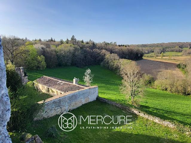 Château vente à Angoulême, Aignes-et-puypéroux