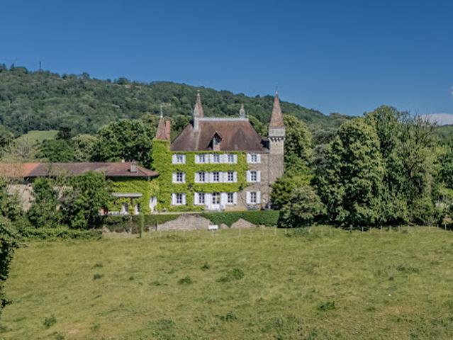 Château vente à Bourg-en-Bresse, Coligny