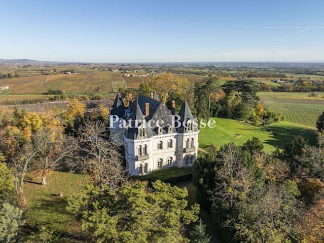 Château vente à Villefranche-sur-Saône, Rhône