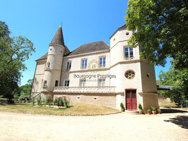 Château vente à Mâcon, Tournus