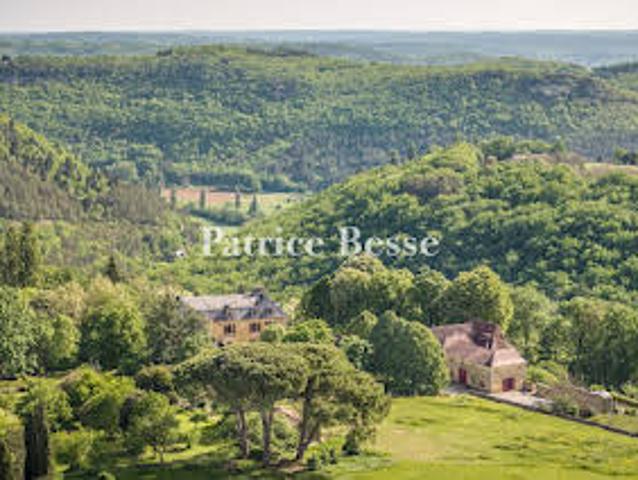 Château vente à Castelnaud-la-chapelle