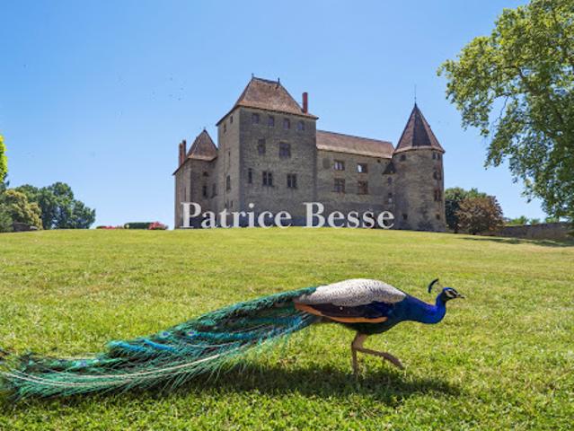 Château vente à Vienne, Septème