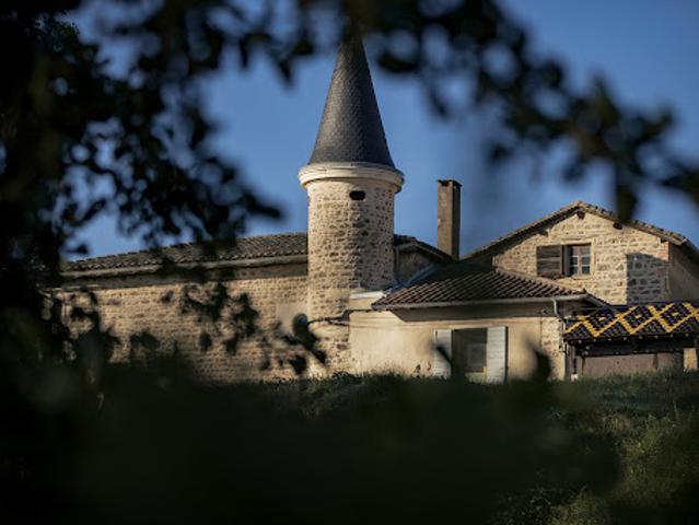 Château vente à Rhône, Auvergne-Rhône-Alpes