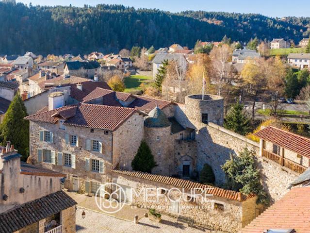 Château vente à Le Malzieu-ville