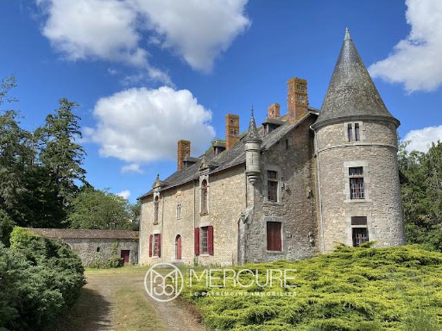 Château vente à Les Sables-d'Olonne, Moutiers-les-mauxfaits