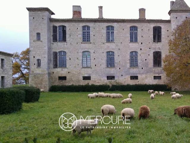 Château vente à Condom, Saint-léonard