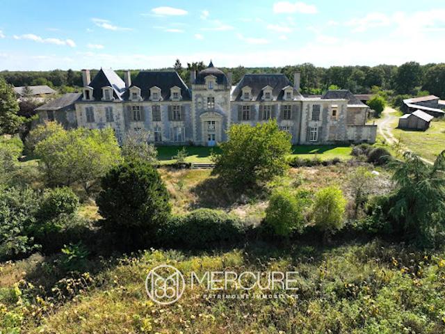 Château vente à Saumur