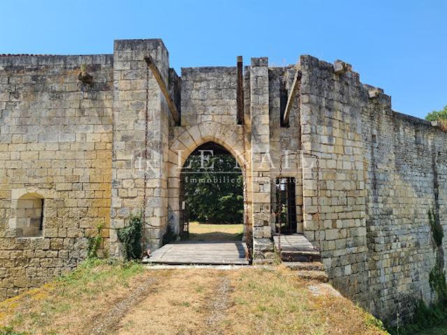 Château vente à Saintes