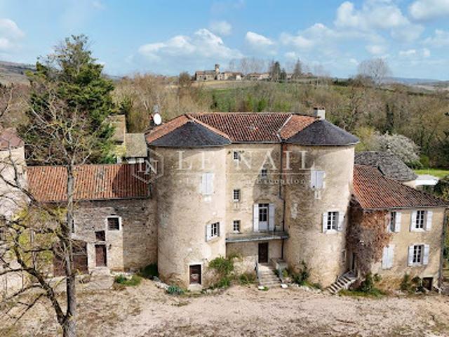 Château vente à Mâcon