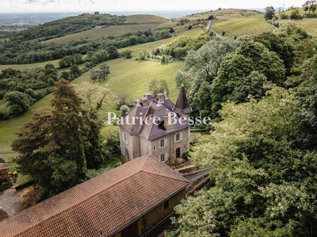 Château vente à Villefranche-sur-Saône, Rhône