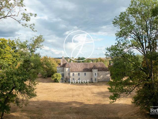 Château vente à Provins, Gravon