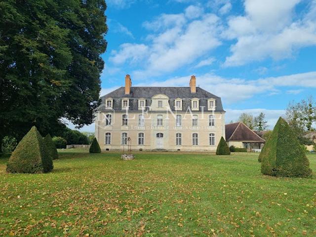 Château vente à La Flèche