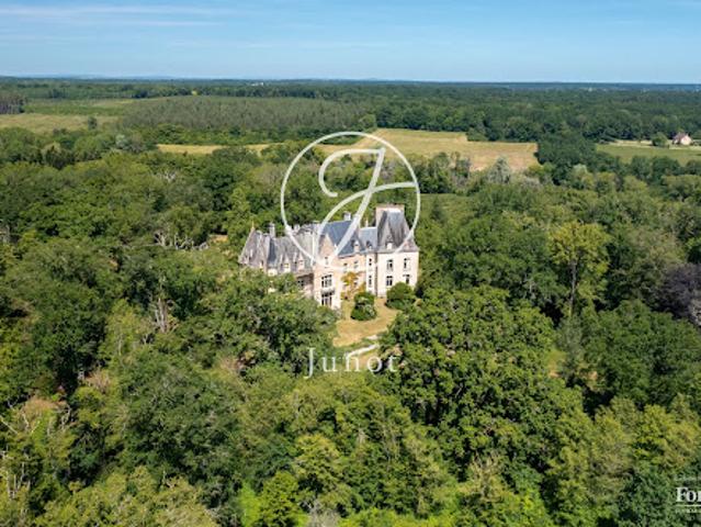 Château vente à Saint-Amand-Montrond, La Guerche-sur-l'aubois