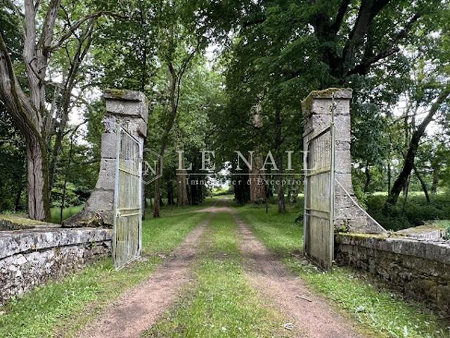 Château vente à Angoulême, Aignes-et-puypéroux