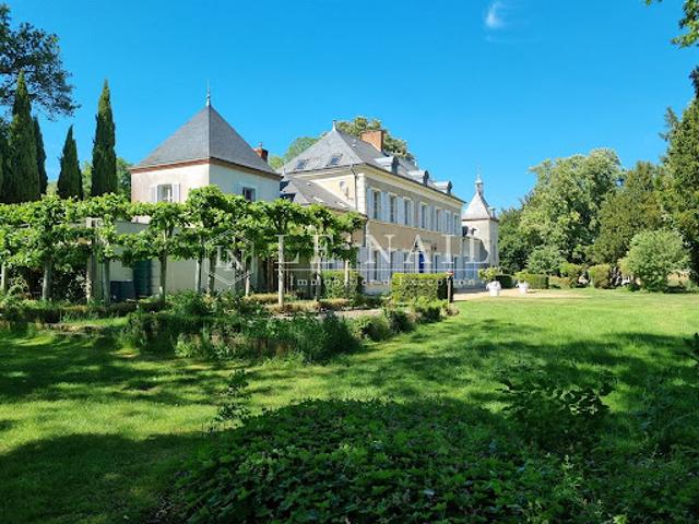 Château vente à Vierzon