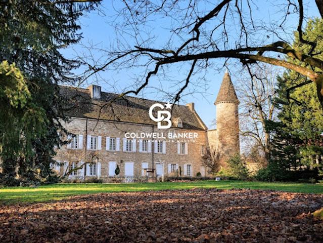 Château vente à Mâcon, Fleurville