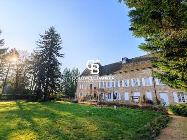 Château vente à Mâcon, Fleurville