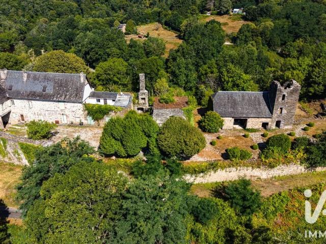 Château vente à Brive-la-Gaillarde, Estivaux