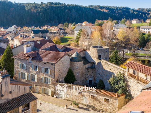 Château vente à Le Malzieu-ville