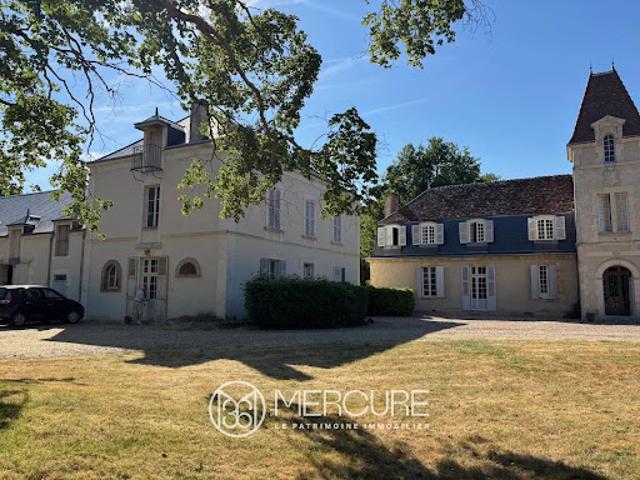 Château vente à Issoudun, Vatan