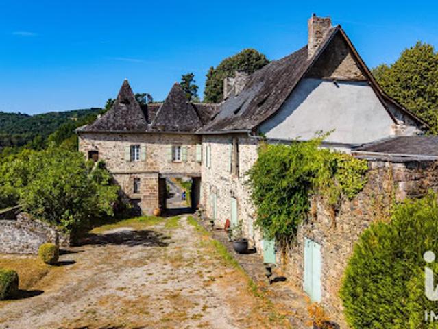 Château vente à Orgnac-sur-Vézère, Corrèze