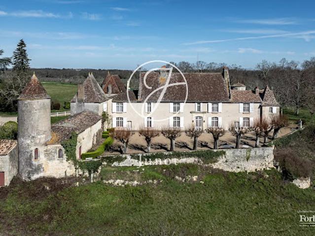 Château vente à Libourne, Castillon-la-bataille