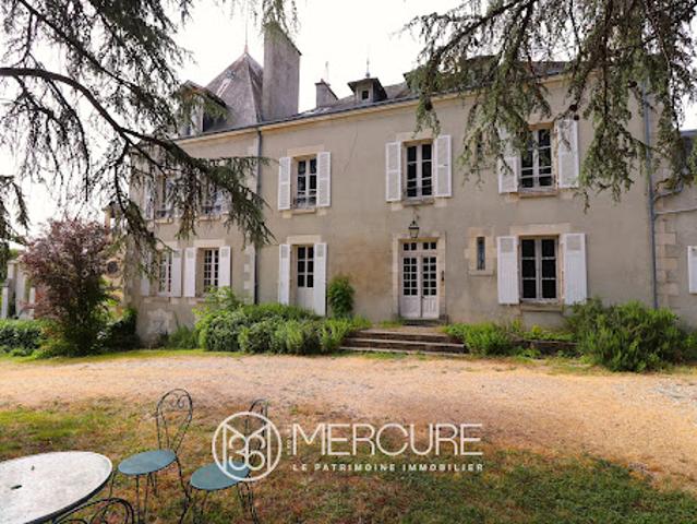 Château vente à Le Blanc