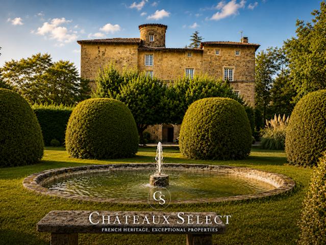Château vente à Saint-Étienne, Saint-héand