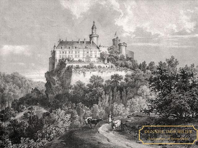 Château vente à Vichy, Veauce
