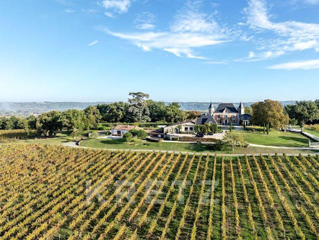 Château vente à Libourne, Eynesse