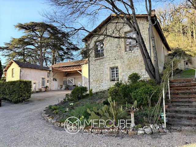 Château vente à Chinon