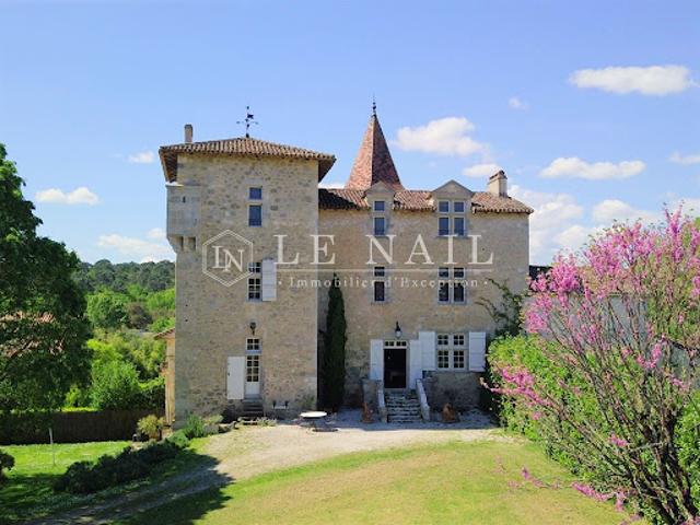 Château vente à Nérac